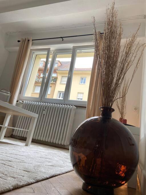 Charismatique Orangerie-10Min Parlement Eu-Wifi-Tv Apartment Strasbourg Exterior photo